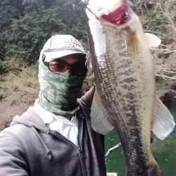 スポーンどハマリ…