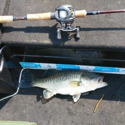 春休みちょい爆