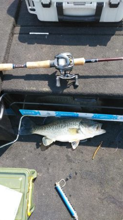 春休みちょい爆