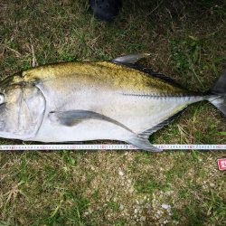 リーフエリア　ショアからGT