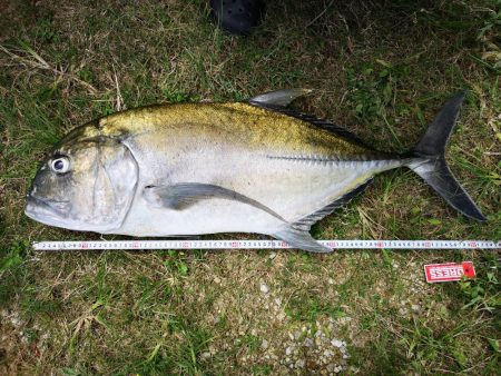 リーフエリア　ショアからGT