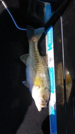 引き続きちょい爆