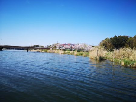 ブタバス捕獲！