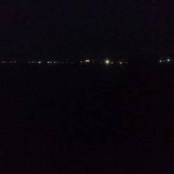 根魚釣れました！