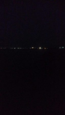 根魚釣れました！