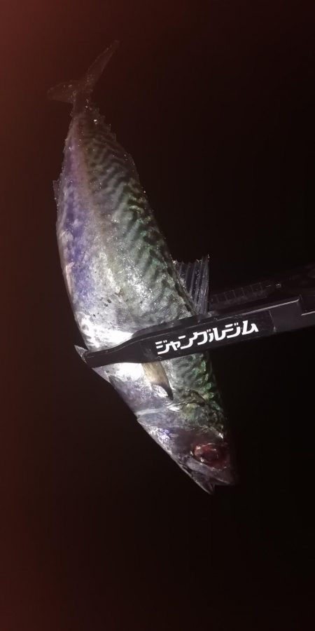 メバリング最高!