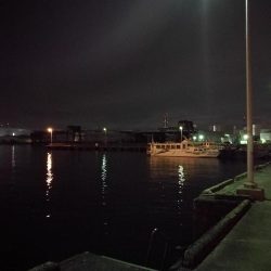 南港フェリーヘチ釣り （四月中旬,長潮～根魚の釣果有り）