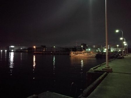 南港フェリーヘチ釣り （四月中旬,長潮～根魚の釣果有り）