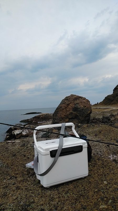 ナイトアジング