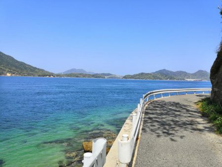 キスがそろそろ釣れ始めています。