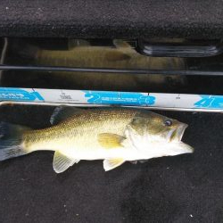 GWアシ打ちまだいけます!