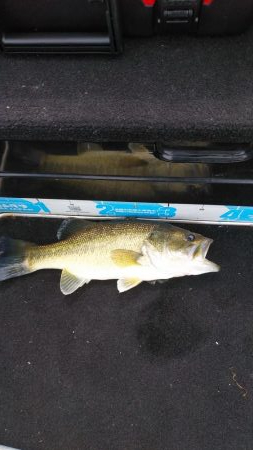 GWアシ打ちまだいけます!