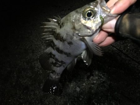 前人未踏のポイント新規開拓!?