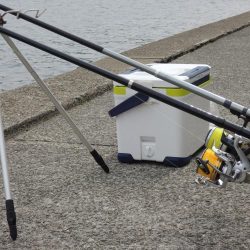 キスは時期尚早