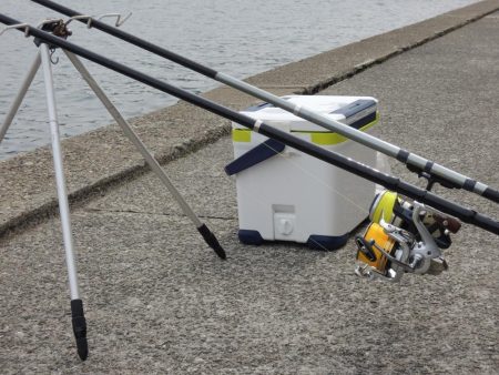 キスは時期尚早