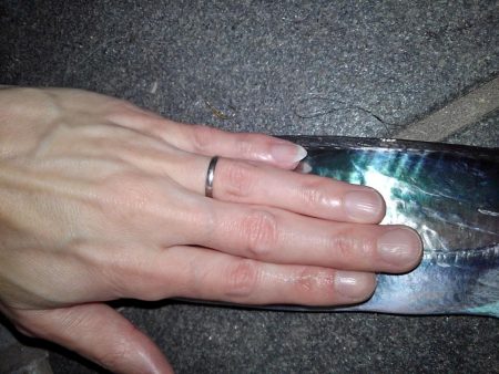 平成最後の春タチ釣行