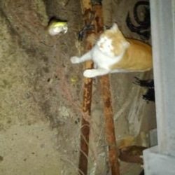 雨が降るまでの釣行