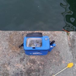 浮き釣り最高！