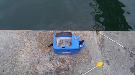 浮き釣り最高！