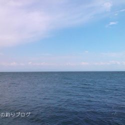 チヌ17ヒット5ゲット！