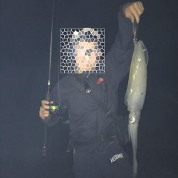 アオリイカ2キロオーバー連発！