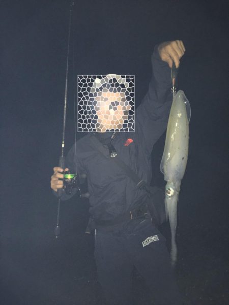 アオリイカ2キロオーバー連発！