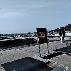 久しぶりの釣堀でした!!