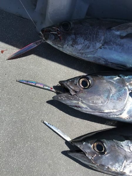 へいみつ丸 釣果
