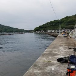 高知愛南遠征3日目