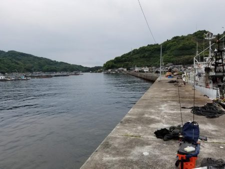 高知愛南遠征3日目