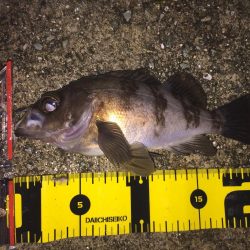 びちょびちょ!でも楽しい‼︎