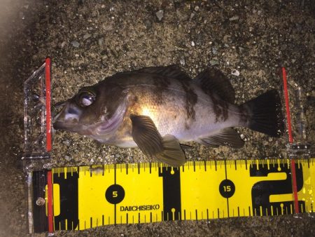 びちょびちょ!でも楽しい‼︎