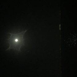 満月メバリング