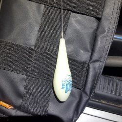 サーフシーバス