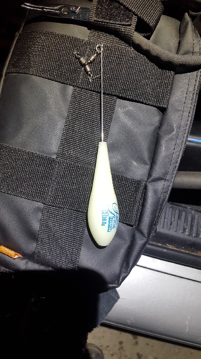 サーフシーバス