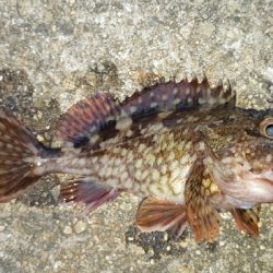 ディがシリング