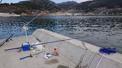 カレイに会いに