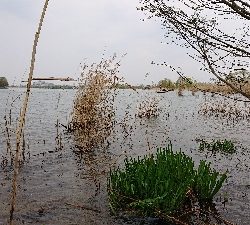 ハイプレッシャー