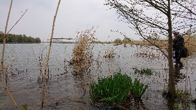 ハイプレッシャー