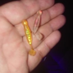 サイズ伸びない