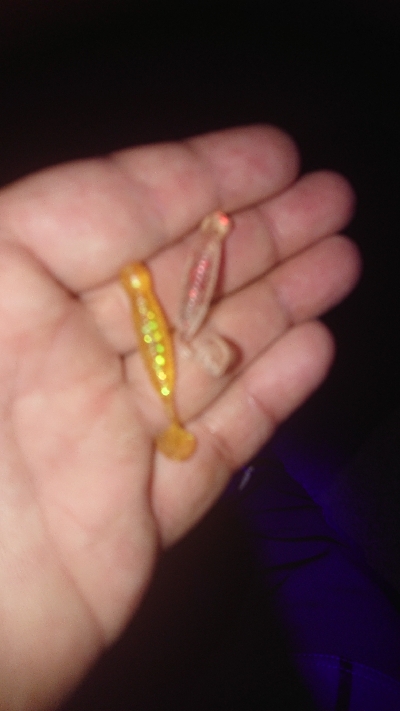 サイズ伸びない