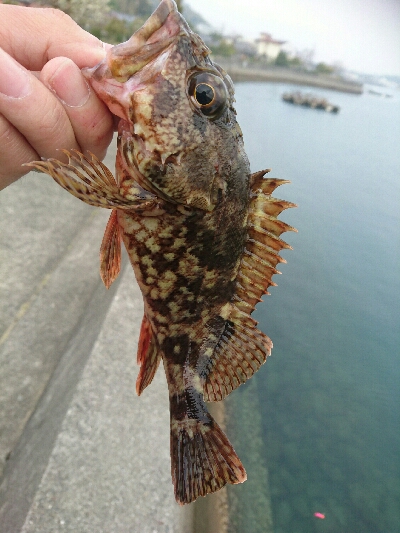 多魚種釣り