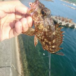 平成最後の釣り？