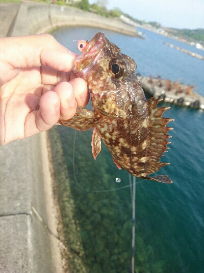平成最後の釣り？