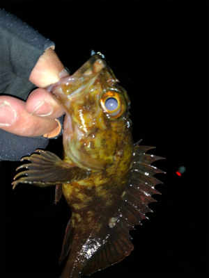 ん？ジャンプ⁇