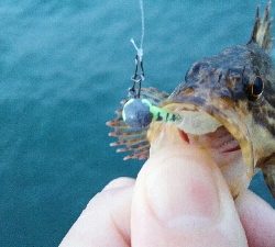 2019年4月4日釣行in箱崎ふ頭