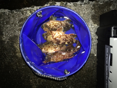 潮が動かなきゃどないもなりません