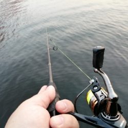 お花見前のプチチニング