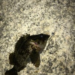 フロートメバリング