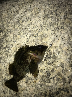 フロートメバリング